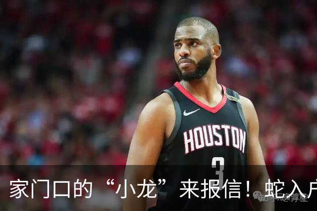 家门口的“小龙”来报信！蛇入户的三大秘密信号